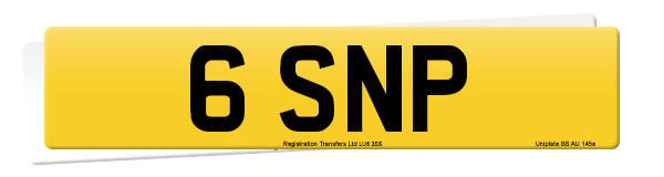 Registration number 6 SNP